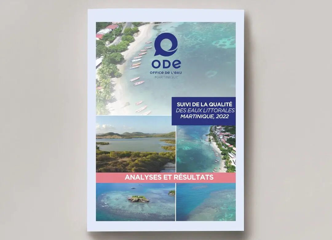 Edition d&rsquo;un rapport scientifique
